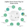 Pemsmart Tuya 16A Smart Plug - WiFi/Zigbee, Energy Monitor product image 5