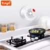 Pemsmart Tuya Natural Gas Sensor - WiFi/Zigbee, 70dB Alarm product image 1