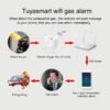 Pemsmart Tuya Natural Gas Sensor - WiFi/Zigbee, 70dB Alarm product image 5