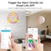 Pemsmart Tuya 90dB Siren Alarm - WiFi/Zigbee, 18 Ringtones product image 5