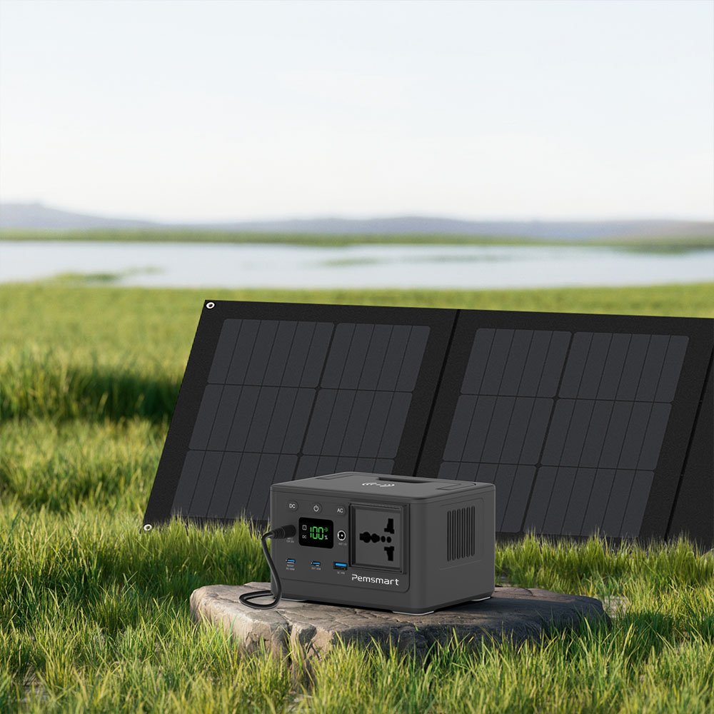 Pemsmart DPS-150D Portable Power Station - 150W, 96Wh LiFePO4 product image 7
